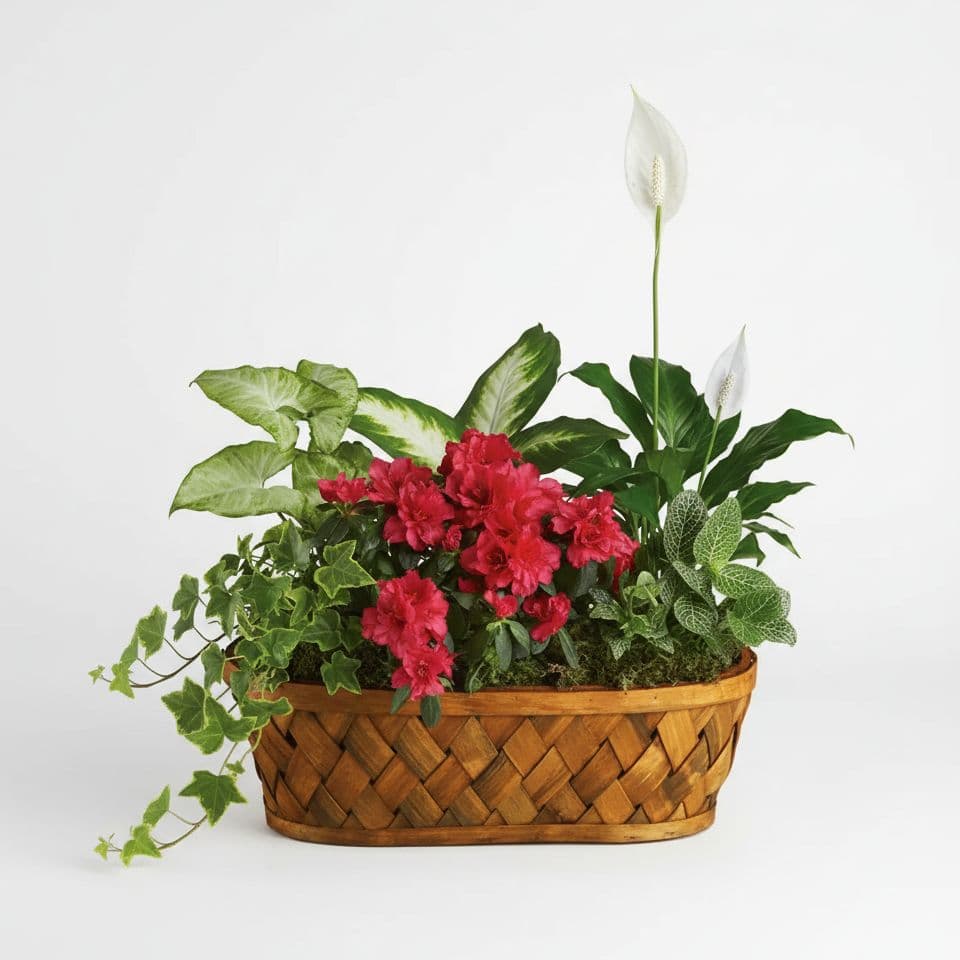 Verdant Harmony Planter